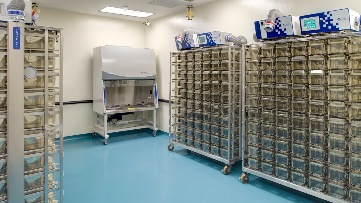 USC Discovery I Biomedical Research Facility - Image 3