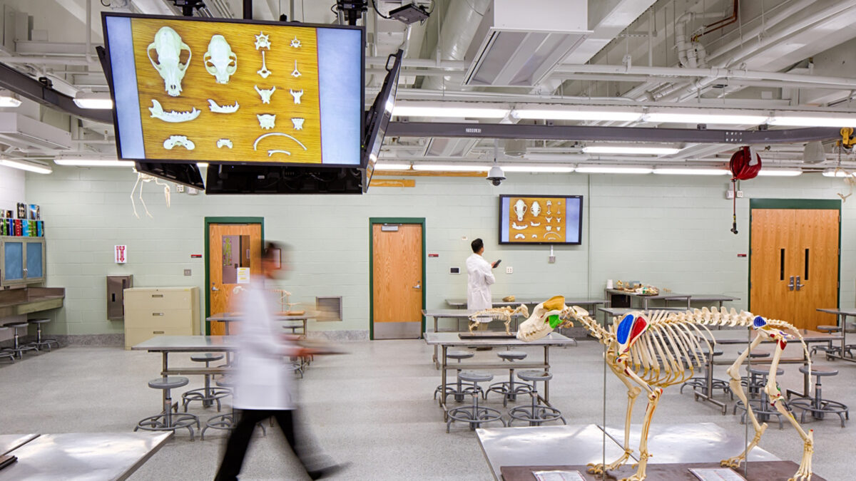 College of Veterinary Medicine Anatomy Laboratory Renovation - Image 1