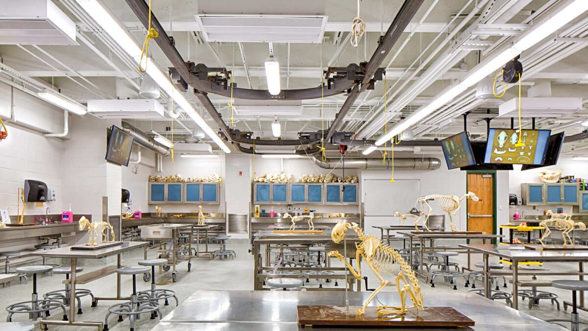 College of Veterinary Medicine Anatomy Laboratory Renovation - Image 2