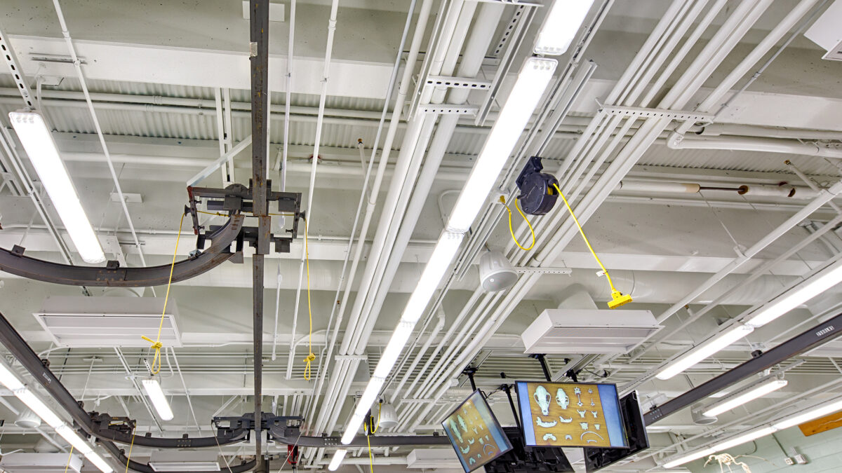 College of Veterinary Medicine Anatomy Laboratory Renovation - Image 3